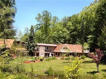 Rock Laurel Bed And Breakfast Candler ภายนอก รูปภาพ